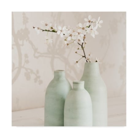 Tom Quartermaine 'Blossom With 3 Vases' Canvas Art,14x14
